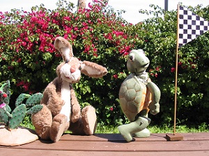 Jack Rabbit & the Desert Tortoise